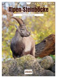 Vorderes Coverbild Alpen-Steinböcke, imposante Hornträger (Wandkalender 2025 DIN A4 hoch), CALVENDO Monatskalender