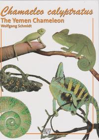 Vorderes Coverbild Chamaeleo calyptratus
