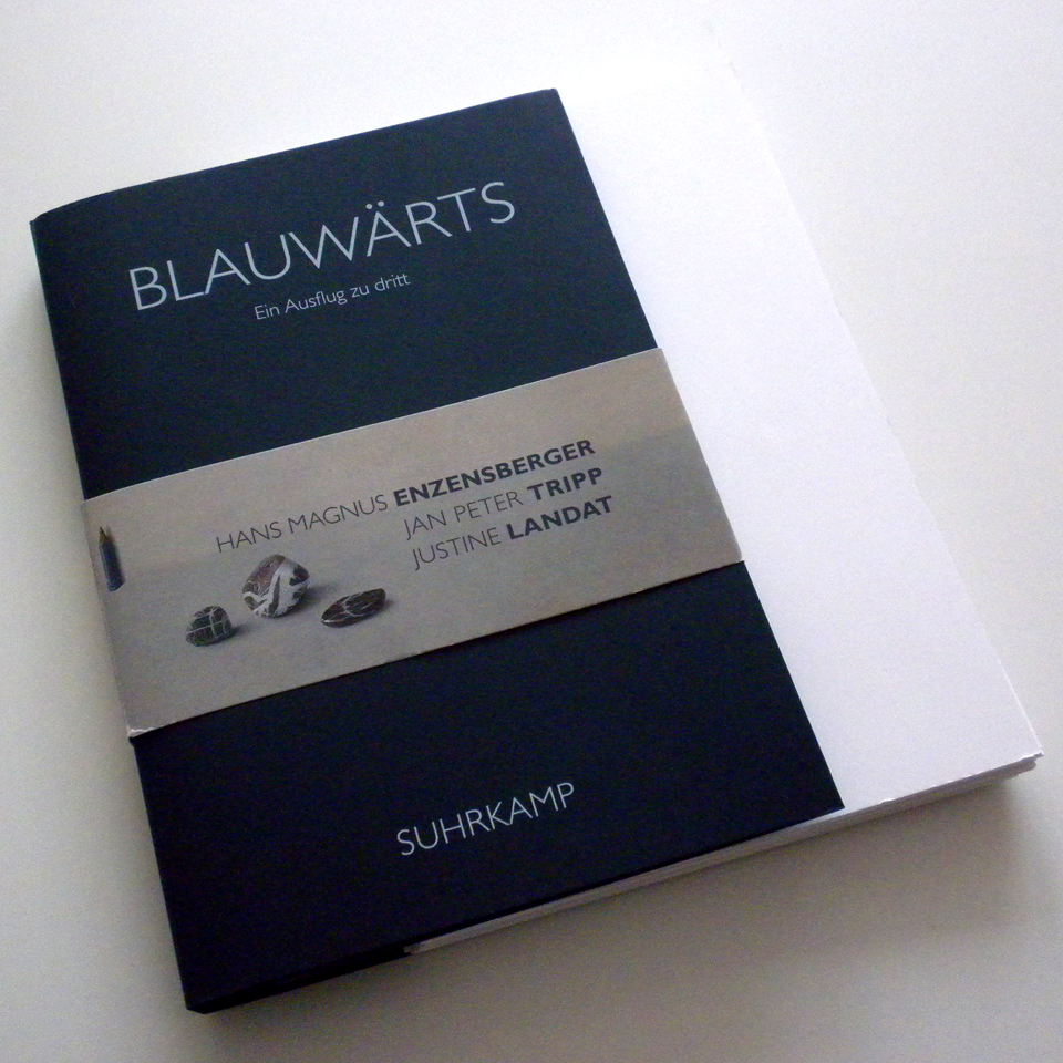 Anderes Coverbild Blauwärts