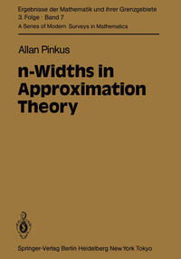 Vorderes Coverbild n-Widths in Approximation Theory