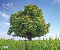Vorderes Coverbild DUMONT - Bäume 2025 Wandkalender, 60x50cm, Fotokunst-Kalender mit Aufnahmen prächtiger Bäume, Abbildungen von Naturschönheiten aus aller Welt, mit Spiralbindung