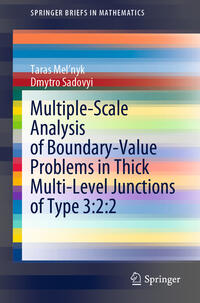 Vorderes Coverbild Multiple-Scale Analysis of Boundary-Value Problems in Thick Multi-Level Junctions of Type 3:2:2