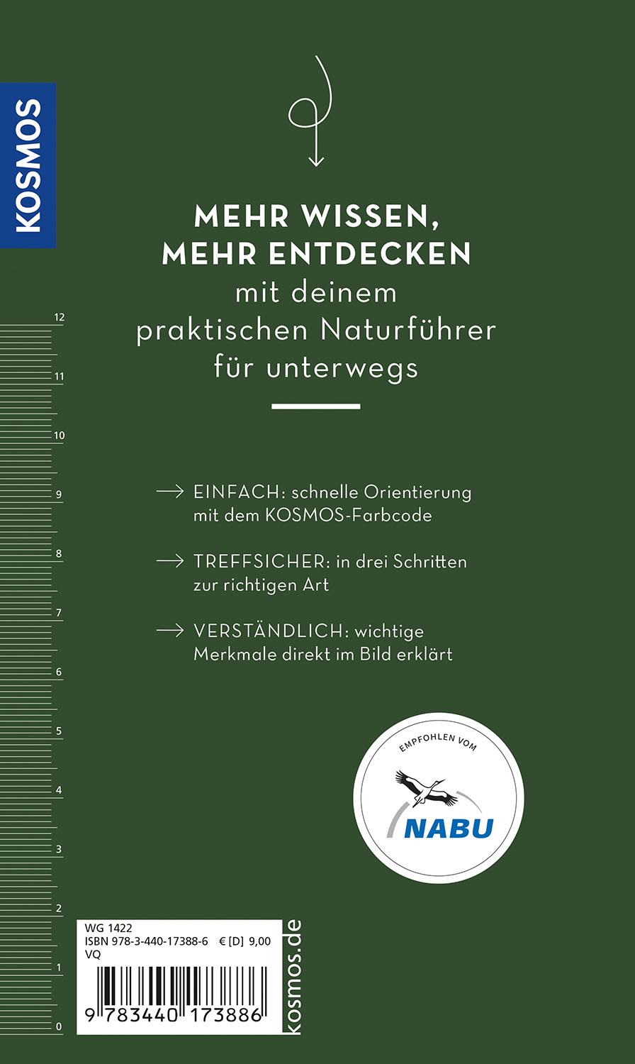 Rückseitencover BASIC Gartenvögel