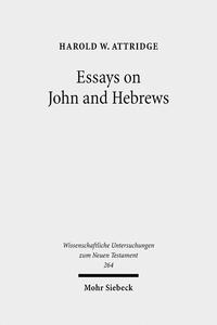 Vorderes Coverbild Essays on John and Hebrews