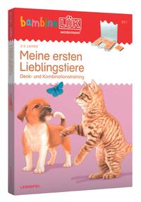 Vorderes Coverbild bambinoLÜK-Set