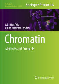 Vorderes Coverbild Chromatin