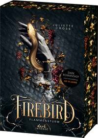 Vorderes Coverbild Firebird (Flammensturm, Band 1)