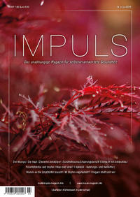 Vorderes Coverbild IMPULS Q4/16