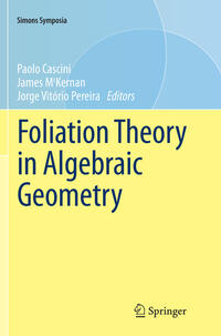 Vorderes Coverbild Foliation Theory in Algebraic Geometry