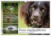 Vorderes Coverbild Treue Jagdgefährten - Jagdhunderassen im Portrait (Wandkalender 2025 DIN A3 quer), CALVENDO Monatskalender