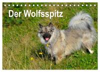 Vorderes Coverbild Der Wolfsspitz (Tischkalender 2025 DIN A5 quer), CALVENDO Monatskalender