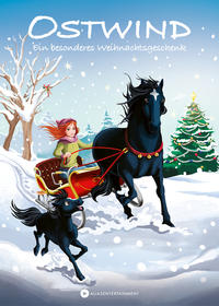 Vorderes Coverbild Ostwind – Ein besonderes Weihnachtsgeschenk