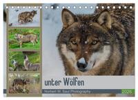 Vorderes Coverbild unter Wölfen (Tischkalender 2026 DIN A5 quer), CALVENDO Monatskalender
