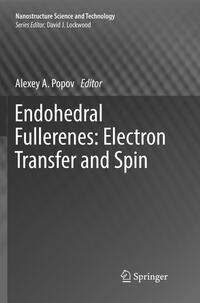 Vorderes Coverbild Endohedral Fullerenes: Electron Transfer and Spin