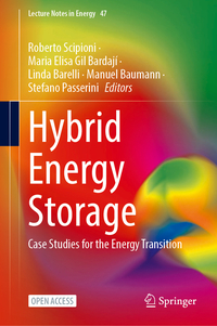 Vorderes Coverbild Hybrid Energy Storage