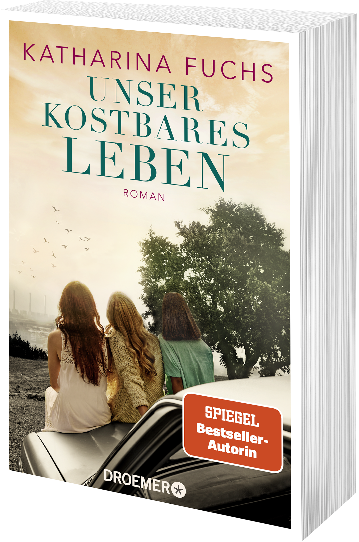 Anderes Coverbild Unser kostbares Leben
