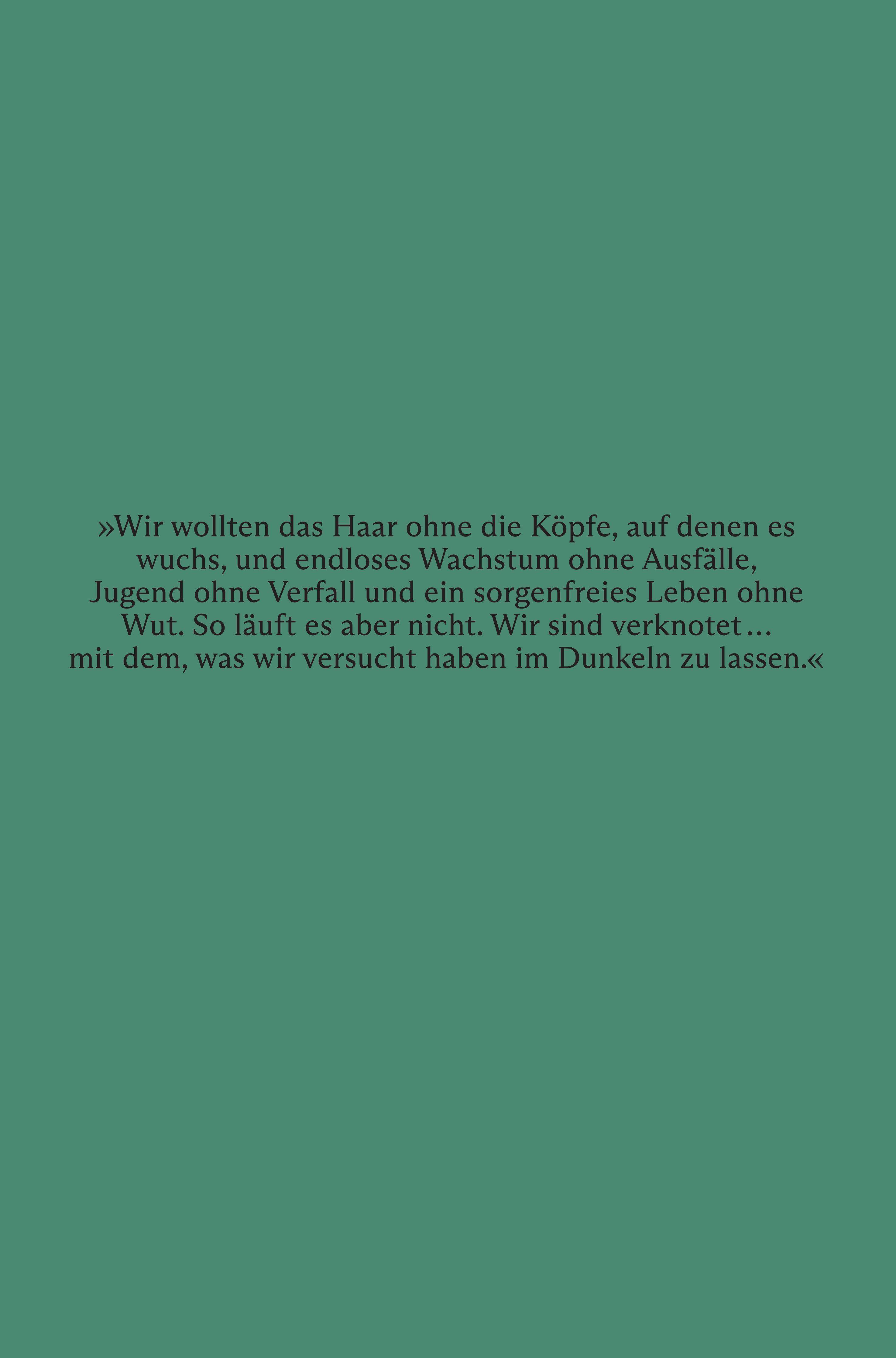 Rückseitencover Haare
