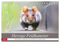 Vorderes Coverbild Herzige Feldhamster - farbenfrohe Nagetiere im städtischen Lebensraum (Tischkalender 2025 DIN A5 quer), CALVENDO Monatskalender