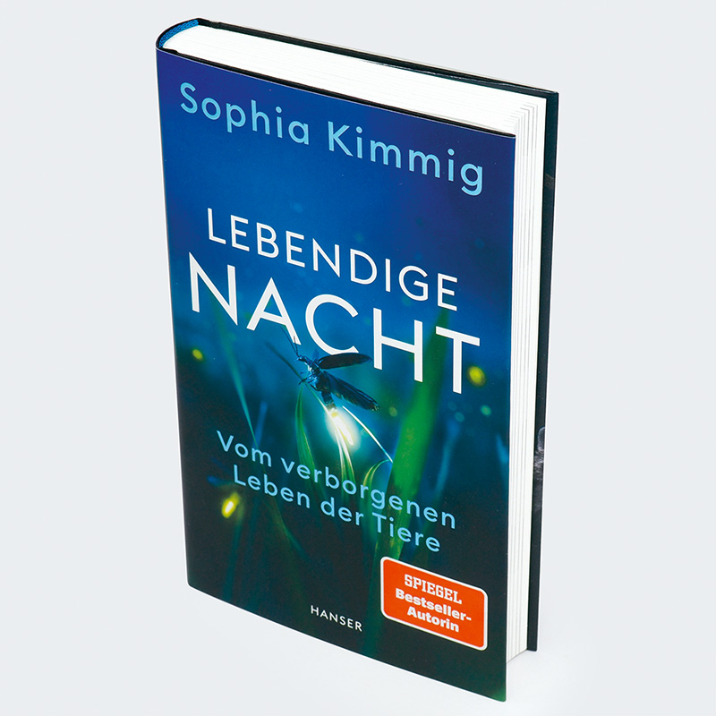 Beispielinhalt (Bild) Lebendige Nacht