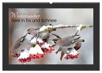 Vorderes Coverbild Winterzauber - Tiere in Eis und Schnee (Wandkalender 2025 DIN A2 quer), CALVENDO Monatskalender