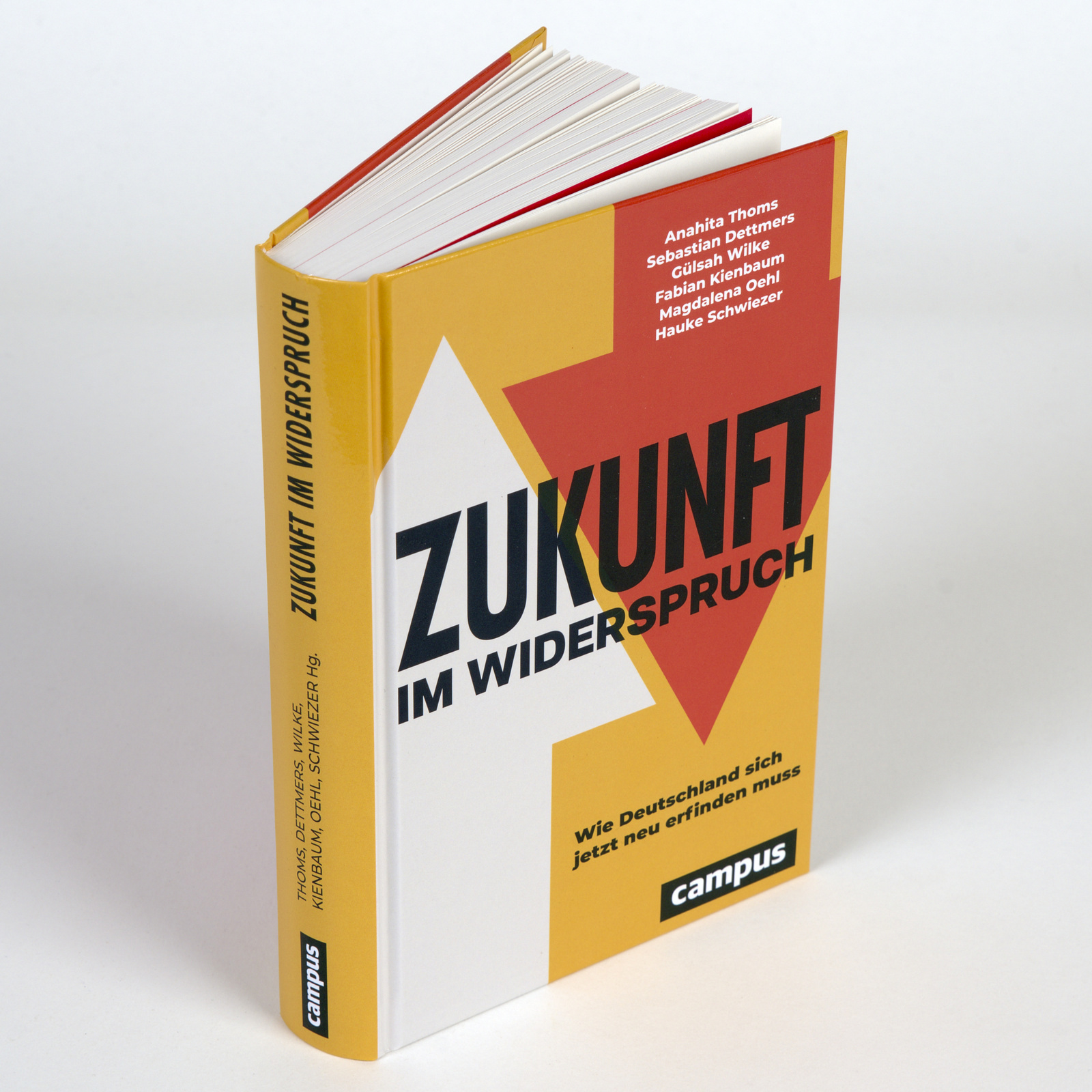 Rückseitencover Zukunft im Widerspruch