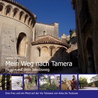 Vorderes Coverbild Mein Weg nach Tamera