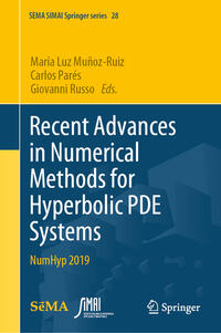Vorderes Coverbild Recent Advances in Numerical Methods for Hyperbolic PDE Systems
