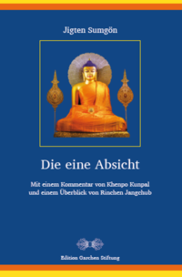 Vorderes Coverbild Die eine Absicht