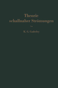 Vorderes Coverbild Theorie schallnaher Strömungen