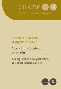 Vorderes Coverbild Sens et représentation en conflit