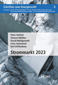 Vorderes Coverbild Strommarkt 2023