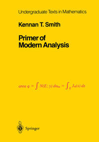 Vorderes Coverbild Primer of Modern Analysis