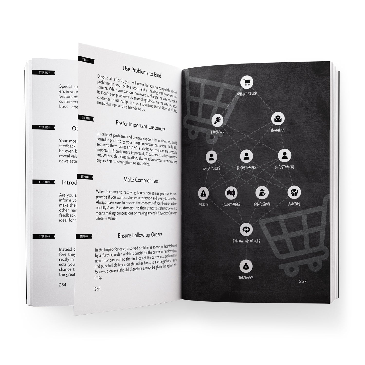 Beispielinhalt (Bild) 500 Steps to Your Own Profitable Online Store