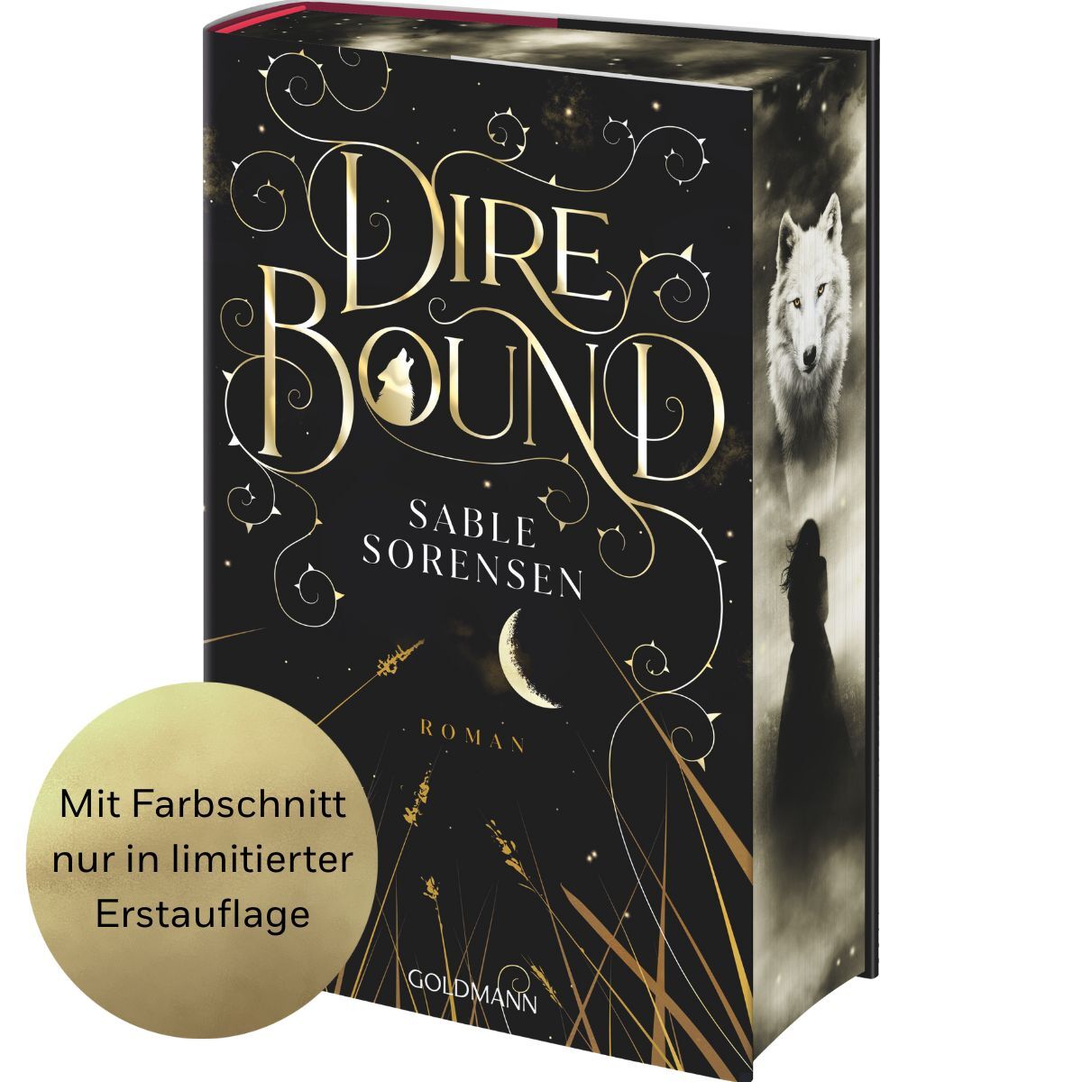 Beispielinhalt (Bild) Dire Bound