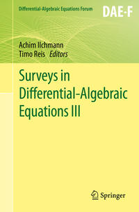 Vorderes Coverbild Surveys in Differential-Algebraic Equations III