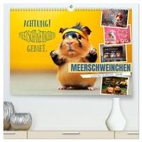 Vorderes Coverbild Meerschweinchen LUSTIG DURCHS JAHR (hochwertiger Premium Wandkalender 2026 DIN A2 quer), Kunstdruck in Hochglanz