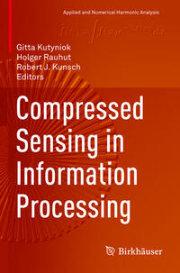 Vorderes Coverbild Compressed Sensing in Information Processing