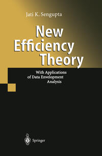 Vorderes Coverbild New Efficiency Theory