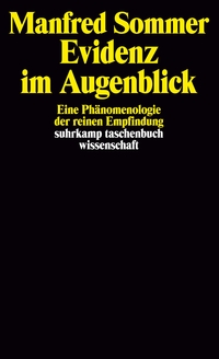 Vorderes Coverbild Evidenz im Augenblick