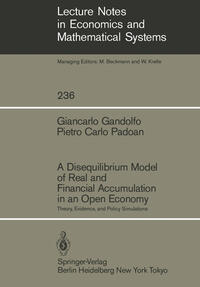 Vorderes Coverbild A Disequilibrium Model of Real and Financial Accumulation in an Open Economy