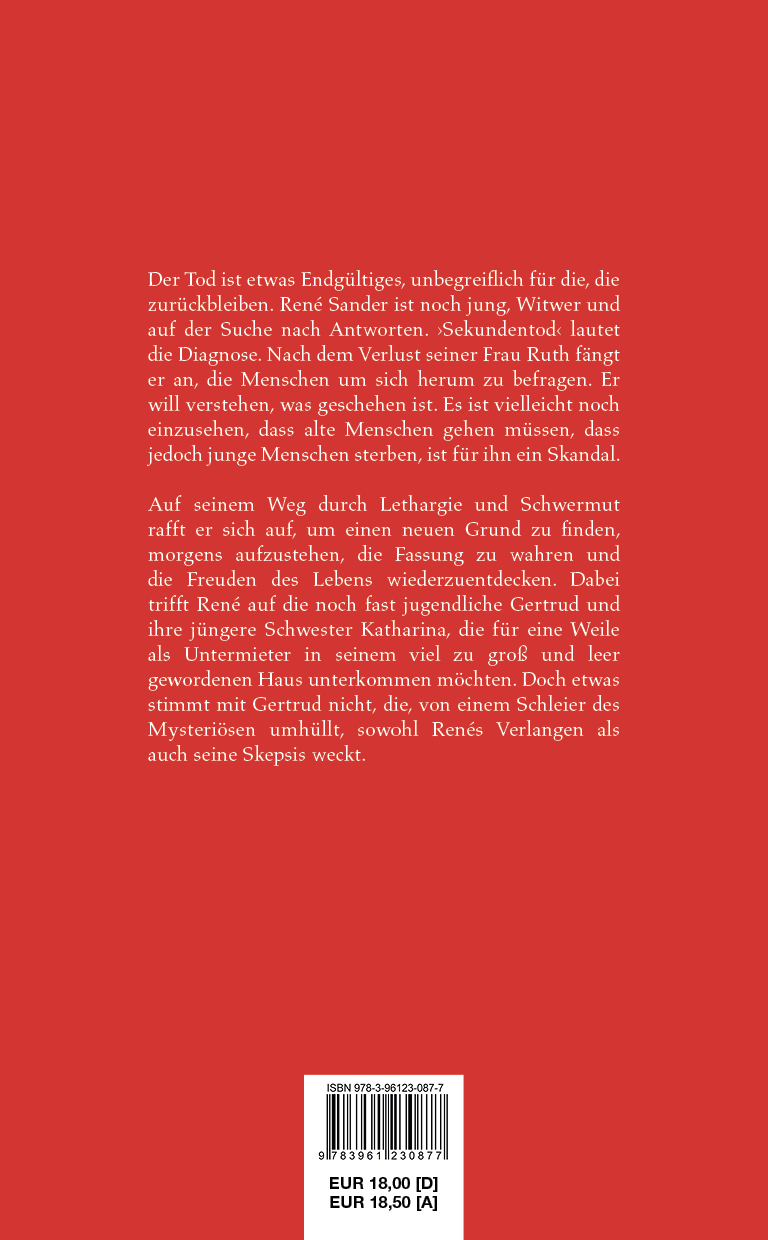 Rückseitencover Ein sanfter Mann