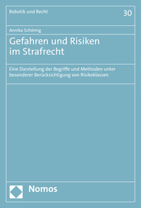 Vorderes Coverbild Gefahren und Risiken im Strafrecht