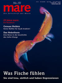 Vorderes Coverbild mare - Die Zeitschrift der Meere / No. 151 / Was Fische fühlen