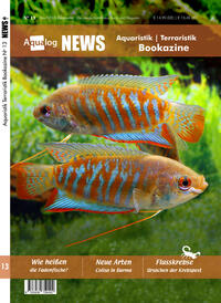 Vorderes Coverbild News Bookazine Nr.: 13 (Herbst 2023)