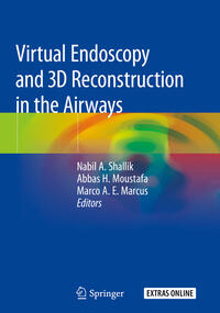 Vorderes Coverbild Virtual Endoscopy and 3D Reconstruction in the Airways