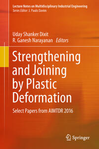 Vorderes Coverbild Strengthening and Joining by Plastic Deformation