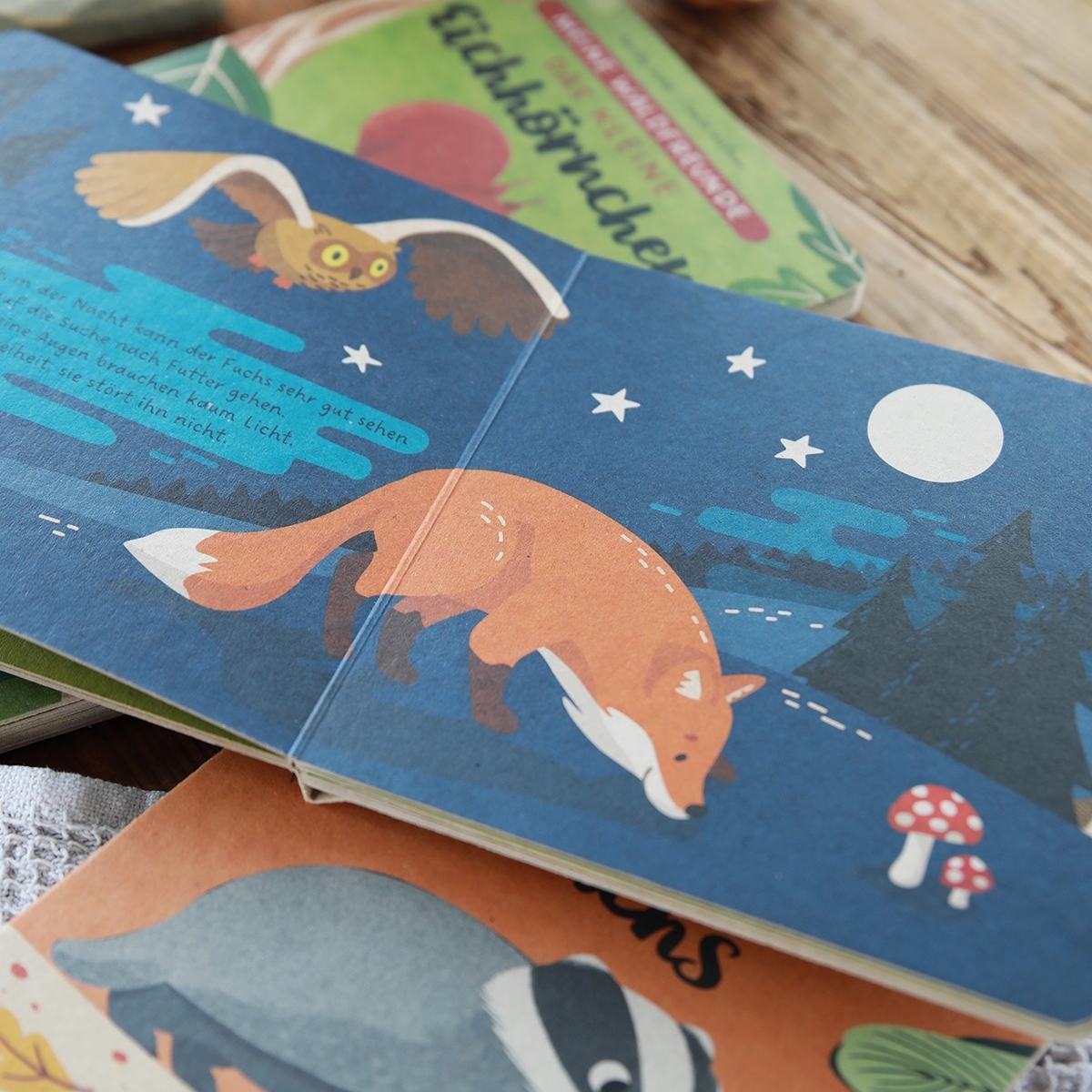 Beispielinhalt (Bild) Meine Waldfreunde. Der kleine Fuchs