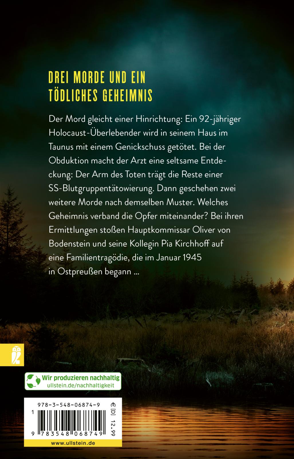 Rückseitencover Tiefe Wunden (Ein Bodenstein-Kirchhoff-Krimi 3)