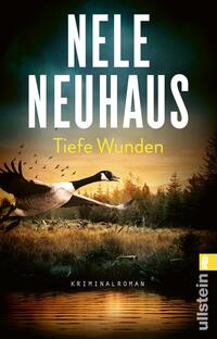 Vorderes Coverbild Tiefe Wunden (Ein Bodenstein-Kirchhoff-Krimi 3)