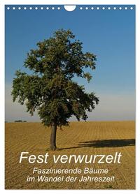 Vorderes Coverbild Fest verwurzelt - Faszinierende Bäume im Wandel der Jahreszeit (Wandkalender 2026 DIN A4 hoch), CALVENDO Monatskalender
